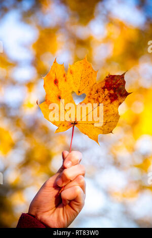 Girl's Hand Herbst Blatt mit Herzförmigen Loch Stockfoto