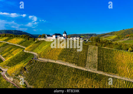 Deutschland, Rheinland-Pfalz, Weinberge und die Marienburg in der Nähe von Pünderich Stockfoto