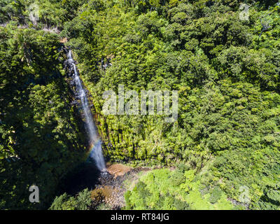 Mauritius, Black River Gorges National Park, Luftaufnahme von Mare aux Joncs Wasserfall Stockfoto