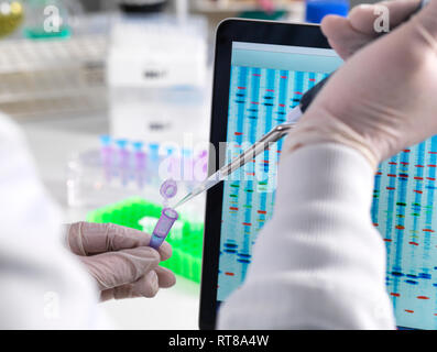 Wissenschaftler Pipettieren eine DNA Probe mit den Ergebnissen auf einem Computer in einem Labor sceeen Stockfoto