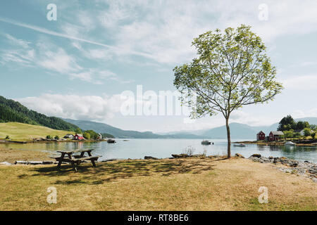 Ein Picknick im Grünen Tisch und Baum am Ufer am Omaholmen an einem schönen Sommertag in Hardangerfjord Hordaland, Norwegen - Sommer Fjordlandschaft Stockfoto