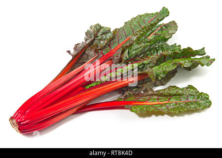 Roter Mangold mit Blättern auf weißem Hintergrund Stockfoto