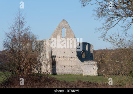 Die Ruinen von Newark Priorat, Surrey, Großbritannien, ein Grad 1 denkmalgeschützte Gebäude alte Denkmal auf dem English Heritage Register der Gebäude an der Gefahr Stockfoto