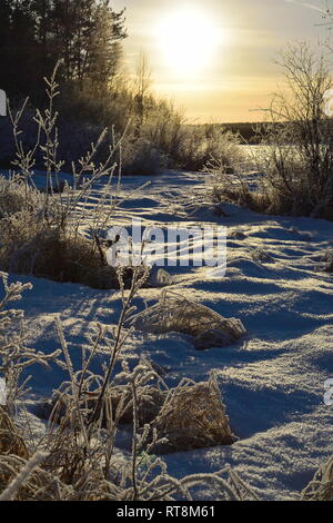 Frost Kristalle sind die Bäume und Büsche, die durch die niedrigen Winter Sonne an einem kalten Tag im Norden Schwedens beleuchtet. Stockfoto