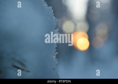 Frost Kristalle wachsen auf den Schnee, der einem Zweig in einem winterlichen Wald. Stockfoto