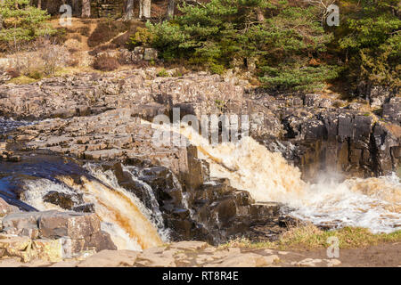 Die Wasserfälle bei niedrigen Kraft, Teesdale, England, Großbritannien Stockfoto