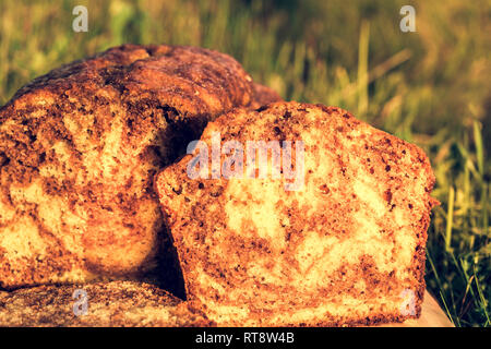 Lecker und flauschige Schoko und Zitrone Biskuitboden auf Gras Hintergrund. Close Up. Selektiver Fokus Stockfoto