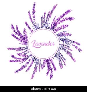 Lavendel Blume runde Zweig aquarell Abbildung. Kreis lavendel Rahmen. Dekoration Blumen Design. Liebe und Ehe. Valentines Tag. Lavendel Zweig Hochzeit Symbol. Isolierte Raster Stock Vektor