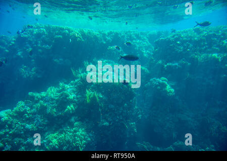 Abstrakte Aquatische tiefen Meeresgrund Unterwasser Hintergrund Stockfoto