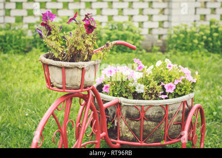 Blumen im Korb auf einem dekorativen Fahrrad im Garten Stockfoto