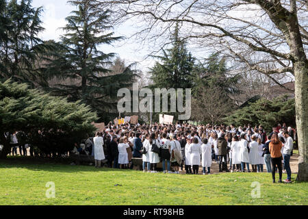 Santiago de Compostela, Spanien. 28. Februar 2019: Apotheke Studentendemonstration Stockfoto