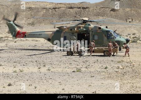 Omanische Soldaten arbeiten schnell eine simulierte medizinische Evakuierung unter der sich drehenden Rotorblätter eines NH-90 Kampfhubschrauber im Trainingsbereich an Rabkoot, Oman, Jan. 30, 2019 zu führen. Die US-Armee und der königlichen Armee des Oman sind die Durchführung von side-by-side Ausbildung während der Übung Inferno Creek 19 von einschließlich Enabler von ihren Brüdern in der Royal Air Force von Oman. Inferno Creek ist entworfen, um die Beziehungen zwischen den Armeen zu stärken. Es ist eine Chance für beide Armeen taktische Kenntnisse und Verständnis für die jeweils anderen Kräfte und die Unterstützung langfristiger regionaler Stab zu bauen Stockfoto