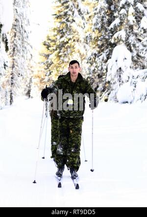 Kanadische Armee finden Cpl. Franklin Pengelly, mit Alpha Company, Royal Westminster Regiment, 39th kanadischen Brigade Group, lernt zu Langlaufloipe beim Westie Lawine Übung, 26. Januar 2019, bei E.C. Manning Park, British Columbia, Kanada. Fast 40 Oklahoma Army National Guard Soldaten mit 2 Bataillon, 162 Infanterie Regiment, 41st Infantry Brigade Combat Team, reiste nach British Columbia und arbeiteten Schulter an Schulter mit den Royal Westminster Regiment basic Winter überleben zu lernen. Stockfoto