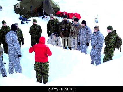 Oklahoma Army National Guard Soldaten mit 2 Bataillon, 162 Infanterie Regiment, 41st Infantry Brigade Combat Team und Kanadischen Armee Reservisten mit dem Royal Westminster Regiment, 39th kanadischen Brigade Group, lernen Sie Techniken für den Aufbau Schnee Unterstände von den Ausbildern mit der 4. kanadischen Rangers Patrol Gruppe während Westie Lawine Übung, 26. Januar 2019, bei E.C. Manning Park, British Columbia, Kanada. Fast 40 Oklahoma Army National Guard Soldaten reiste nach British Columbia und arbeiteten Schulter an Schulter mit den Royal Westminster Regiment basic Winter überleben Fähigkeit zu lernen Stockfoto
