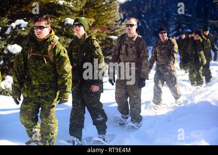 Kanadische Armee Reservisten mit dem Royal Westminster Regiment, 39th kanadischen Brigade Group, März mit Schneeschuhen neben Oklahoma Army National Guard Soldaten mit 2 Bataillon, 162 Infanterie Regiment, 41st Infantry Brigade Combat Team, während der Westie Lawine Übung, 27. Januar 2019, bei E.C. Manning Park, British Columbia, Kanada. Fast 40 Oklahoma Army National Guard Soldaten reiste nach British Columbia in Basic winter survival skills Training und Arbeit Schulter-zu-Schulter mit der Kanadischen Armee finden Verbündeten zu beteiligen. Stockfoto