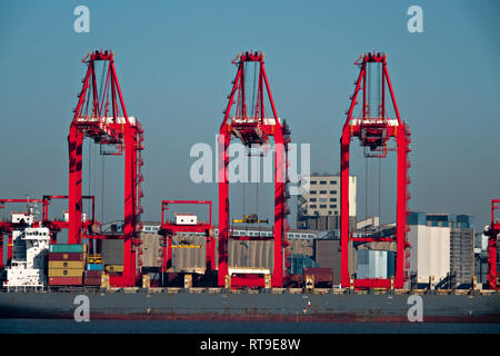 Riesige rote Kräne des £ 400 m Liverpool 2 Terminal in Seaforth Liverpool Entladen von Containerschiffen. Stockfoto