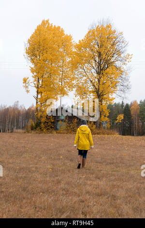 Finnland, Kuopio, Rückseite der Frau in gelb Regenjacke zu Fuß in Richtung herbstliche Bäume Stockfoto