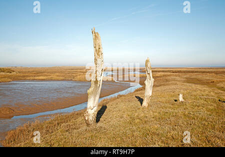 Eine feine Kunst auf zwei Verwitterten Beiträge von einem Bach am Rand der Salzwiesen an der Küste von North Norfolk Thornham, Norfolk, England, UK, Europa. Stockfoto