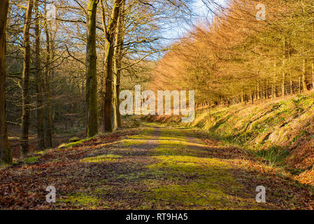 Ladybower Reservoir, Obere Derwent Valley, Derbyshire Stockfoto