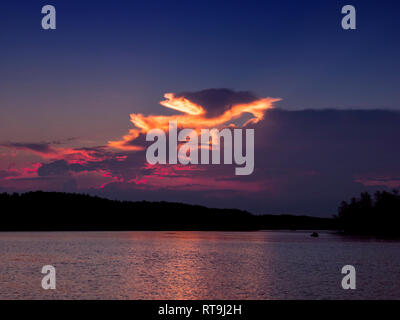 Entspannende Sonnenuntergang über Mangroven und See Stockfoto