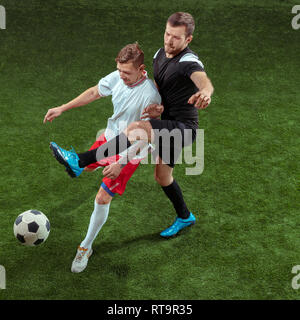 Fußballspieler Bekämpfung für Kugel über grünem Gras Hintergrund. Professionelle männlichen Fußball-Spieler in Bewegung bei Stadion. Fit springen Männer in Aktion, Springen, Bewegung im Spiel. Stockfoto