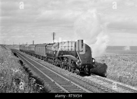 A4 4-6-2 Pacific Nr. 60019 Rohrdommel schleppen die 17.30 Aberdeen Glasgow 3-stündige Express An der Cove Bay im Juli 1965 gestrafft Stockfoto