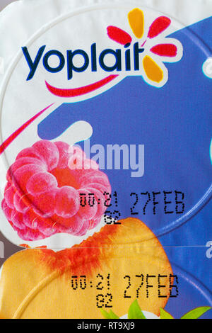 Yoplait Petits Filous Joghurt Multipack-griechischen Stil Obst Schichten - Detail auf der Oberseite Stockfoto