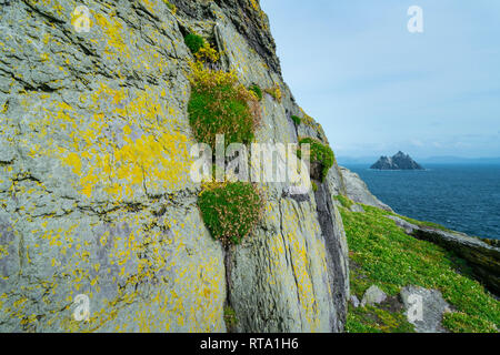 Little Skellig von Skellig Michael, Skelling Inseln, County Kerry, Irland, Europa Stockfoto