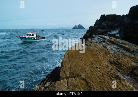 Little Skellig von Skellig Michael, Skelling Inseln, County Kerry, Irland, Europa Stockfoto