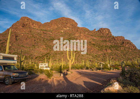 Malerische Landschaften bei Alamo Canyon auf der Ostseite der Landstraße 85, nördlich des visitor center, Organ Pipe Cactus National Monument, Arizona, USA Stockfoto