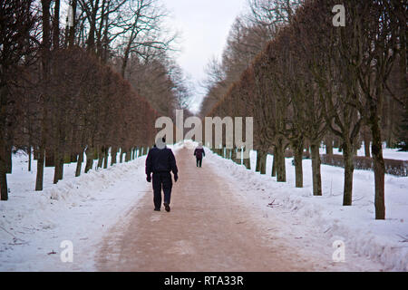 Die Leute gehen in den Garten von Schloss Peterhof auf Winter, St. Petersburg, Russland Stockfoto