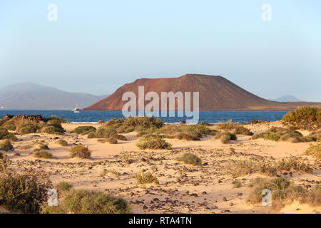 Dünen von Corralejo und die Insel Lobos, Fuerteventura, Kanarische Inseln, Spanien Stockfoto