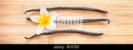 Drei Vanilleschoten mit einer Blume auf hölzernen Panoramablick Hintergrund ausgerichtet Stockfoto