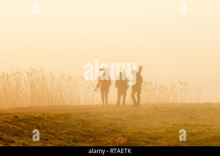 Vogelbeobachter im Nebel am frühen Morgen Stockfoto