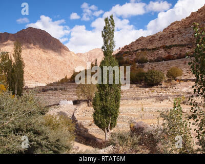 Ein fruchtbares Tal in hohen Plateau, Himalaya Ladakh Stockfoto