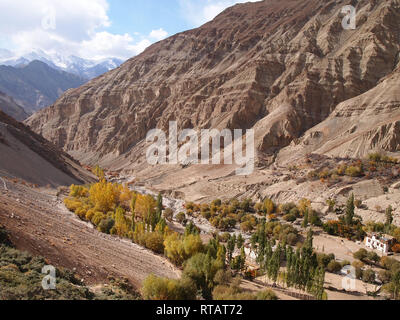 Ein fruchtbares Tal in hohen Plateau, Himalaya Ladakh Stockfoto