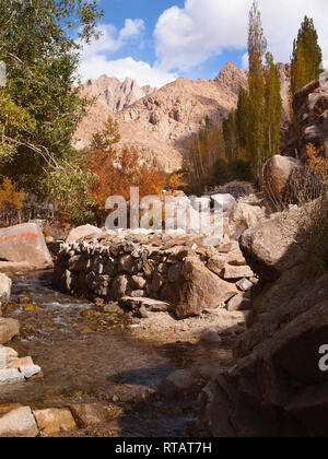 Ein fruchtbares Tal in hohen Plateau, Himalaya Ladakh Stockfoto