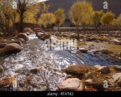 Ein fruchtbares Tal in hohen Plateau, Himalaya Ladakh Stockfoto