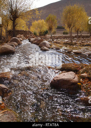 Ein fruchtbares Tal in hohen Plateau, Himalaya Ladakh Stockfoto