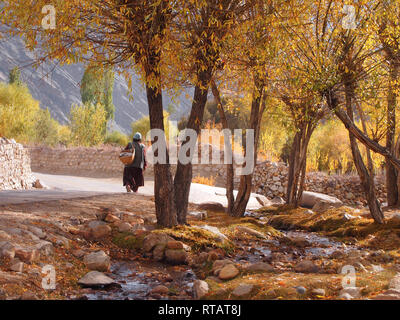 Ein fruchtbares Tal in hohen Plateau, Himalaya Ladakh Stockfoto