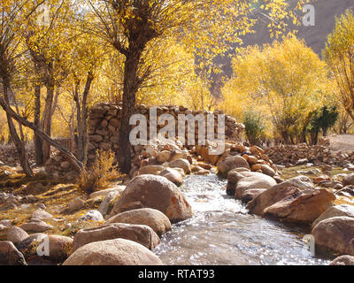 Ein fruchtbares Tal in hohen Plateau, Himalaya Ladakh Stockfoto