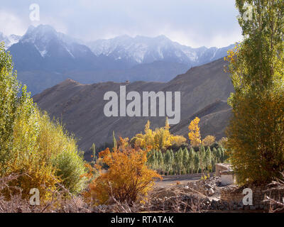 Ein fruchtbares Tal in hohen Plateau, Himalaya Ladakh Stockfoto