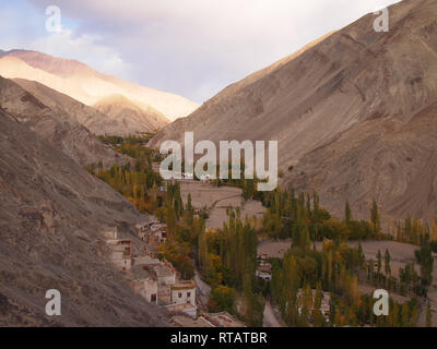 Ein fruchtbares Tal in hohen Plateau, Himalaya Ladakh Stockfoto