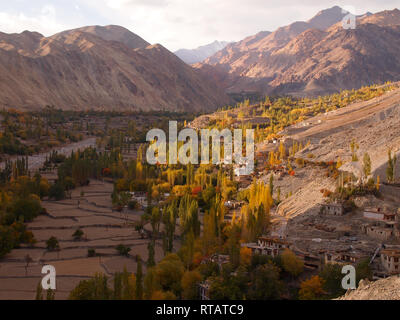 Ein fruchtbares Tal in hohen Plateau, Himalaya Ladakh Stockfoto