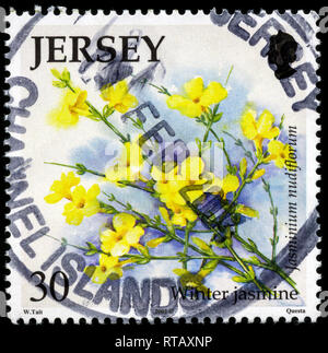 Briefmarke aus Jersey in den Blumen Serie in 2003. Stockfoto