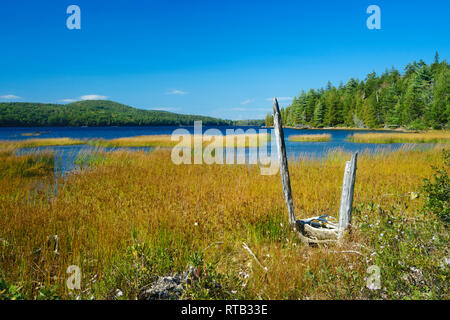 Eagle Lake aus dem grasbewachsenen Ufer auf einem sonnigen Nachmittag gesehen. Acadia National Park, Maine, USA. Stockfoto