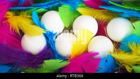 Kreative Gestaltung der Weißen huhn eier in Holzbox mit bunten Federn trendy Neonfarben. Frühling und Ostern party Konzept kopieren Raum Stockfoto