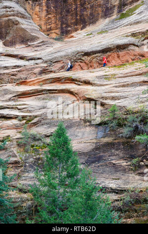 Frau und Mann Wandern auf einen Teil der Hidden Canyon Trail quer durch ein Sandsteinfelsen, Zion National Park, Utah, USA. Stockfoto