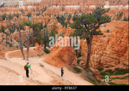 Paar wandern in Bryce Canyon National Park, Utah, USA. Stockfoto