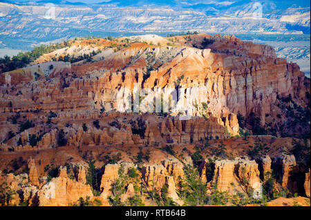 Dramatische am späten Nachmittag Licht auf Bryce Amphitheater, Utah, USA. Stockfoto